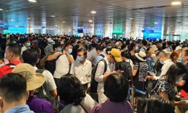 Các sân bay Việt Nam có thể đón 120 triệu khách năm nay