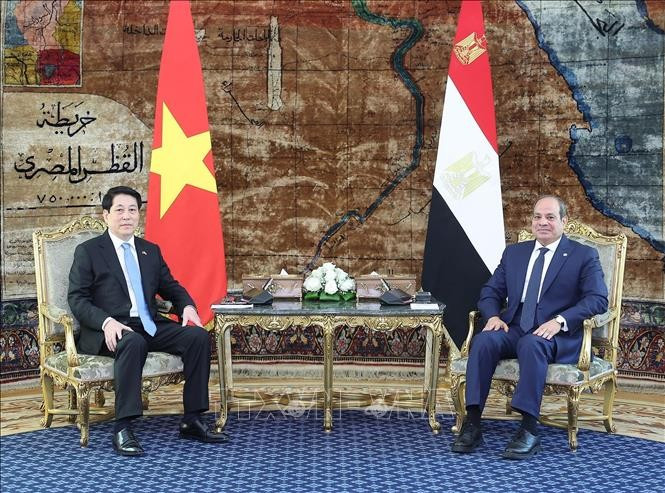 Chủ tịch nước Lương Cường và Tổng thống Ai Cập Abdel Fattah El-Sisi hội đàm hẹp. Ảnh: Lâm Khánh/TTXVN