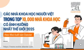 Các nhà khoa học người Việt trong Top 10.000 Nhà Khoa học có ảnh hưởng nhất thế giới 2025
