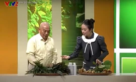 Hành trình “Lão Nhà Quê” xây dựng thương hiệu Nam Dược từ tâm nguyện trả ơn