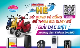 Hoạt động hè 2025 tại Đầm Sen Water Park 