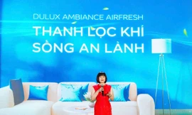 AkzoNobel ra mắt sơn nội thất siêu cao cấp có khả năng thanh lọc không khí