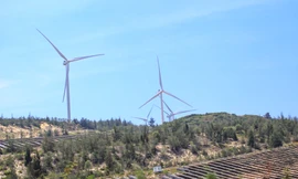 Chủ tịch Gia Lai nói về tiềm năng trở thành trung tâm kết nối năng lượng khu vực