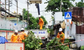 Ngành điện TPHCM đảm bảo an toàn điện trong mùa mưa bão