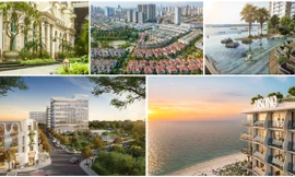 Văn Phú lọt Top 10 thương hiệu bất động sản giá trị nhất Việt Nam 2025