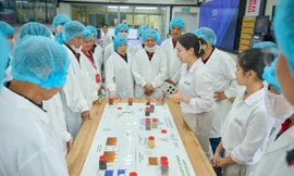 Tôn vinh người nông dân trong hành trình phát triển nông nghiệp bền vững