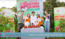 Hành trình kết nối xanh: Mùa vải đã về 