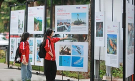 Bức ảnh chưa từng tồn tại và hành trình níu giữ ký ức bằng công nghệ