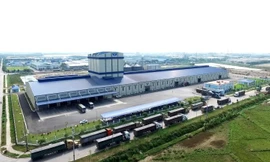 Nông nghiệp Hòa Phát thông báo chào bán 30 triệu cổ phiếu lần đầu ra công chúng