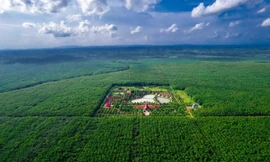 Ngành Cao su Việt Nam – 80 năm đồng hành cùng Tổ quốc