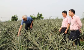 Tín dụng chính sách tạo động lực phát triển kinh tế - xã hội