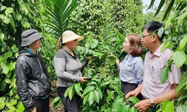 Tín dụng chính sách xã hội - 'đòn bẩy' giảm nghèo bền vững