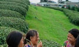 'Ươm Mầm Nụ Cười' - Hành trình mang tri thức và yêu thương đến trẻ em Tây Bắc