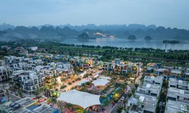 Flamingo Golden Hill - Địa điểm lưu trú hàng đầu của cộng đồng chuyên gia quốc tế