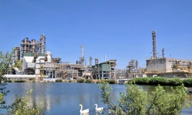 BSR chủ động vượt 'bão' năm 2026