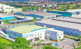 Doanh nghiệp Việt củng cố nội lực trước thềm kỷ nguyên vươn mình