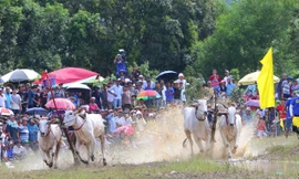 An Giang lan tỏa giá trị đoàn kết, nâng cao đời sống vùng đồng bào dân tộc