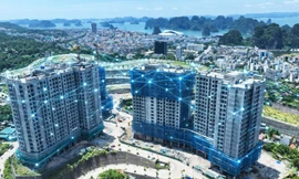 Agribank tiên phong cho vay ưu đãi doanh nghiệp đầu tư hạ tầng, công nghệ số