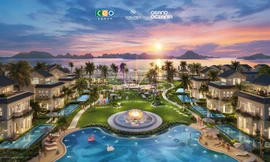 Đặc khu Vân Đồn vào 'vòng khơi' mới giữa làn sóng du lịch biển đảo bùng nổ