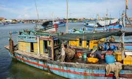 Chất biển mạnh mẽ trong nhịp sống người dân miền duyên hải