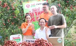 Bắc Ninh bứt phá trên không gian số: Từ kinh tế số đến xã hội số, kiến tạo công dân số