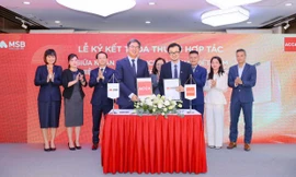 MSB đạt chứng nhận ACCA Approved Employer: Khẳng định cam kết phát triển nhân sự bền vững