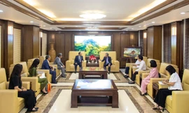 Mở rộng hợp tác quốc tế: FLC Hotels & Resorts thúc đẩy kết nối du lịch Việt – Hàn