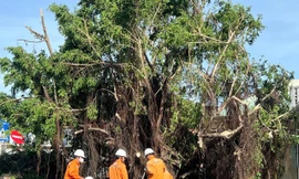 Miền Trung: Hơn 1,6 triệu khách hàng bị mất điện do ảnh hưởng bão số 13