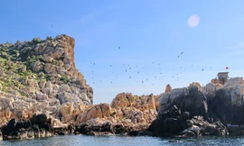 Nghề yến sào – khi con người tập bay cùng thiên nhiên