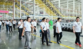 Đại lý phân phối POWELLDD Việt Nam tham quan Nhà máy AIMA Quảng Tây 