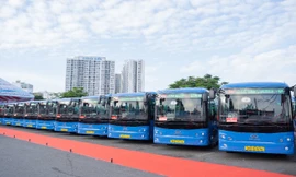 Công ty Phương Trang chính thức vận hành 35 tuyến xe buýt mới tại TP.HCM