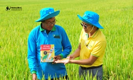 Nông Dược Toàn Cầu - Người bạn đồng hành tin cậy của nông dân Việt