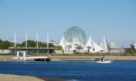 Tập đoàn Đèo Cả hiến kế chống ngập ở TP.HCM bằng hầm TBM lưỡng dụng