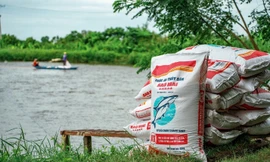 Nâng tầm hạt thức ăn, đồng hành cùng vị thế cá tra Việt