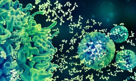 Ba chiến lược trụ cột về phòng ngừa HPV, khi Việt Nam hòa nhịp cùng khuyến cáo toàn cầu 