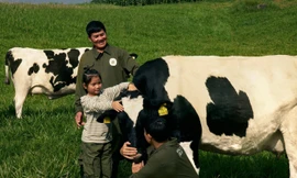 Mộc Châu Creamery: Kế thừa di sản để chuyển mình bền vững