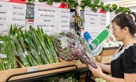 “Tick xanh trách nhiệm” – Tấm hộ chiếu niềm tin từ kệ hàng SATRA