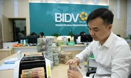 Lợi ích kép giúp doanh nghiệp bứt phá