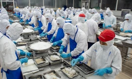 COFIDEC: Tiên phong chuyển đổi xanh, nâng tầm vị thế bền vững ngành thủy sản Việt Nam