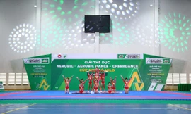 Mãn nhãn với màn trình diễn của 68 đội tại Giải thể dục Aerobic Cúp MILO lần VIII