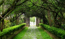 Nhà vườn An Hiên, nơi thời gian lắng đọng