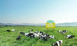 Nutifood tăng đầu tư thêm 6.000 tỷ đồng mở rộng trang trại và nhà máy tại Gia Lai