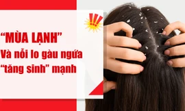 Chuyên gia lo ngại: Mùa lạnh bất thường 2025 làm gàu ngứa, viêm da đầu ‘tăng sinh’
