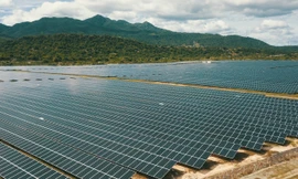 Từ 'sống lưng khủng long' đến những cánh đồng pin mặt trời 