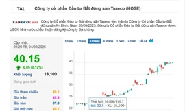 'Đọc vị' loạt nhà đầu tư rót vốn vào Taseco Land