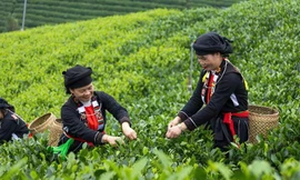 Du lịch Thái Nguyên trước cơ hội nâng tầm