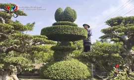 Hành trình kết nối xanh: Về Vị Khê – Sống xanh từ sân nhà