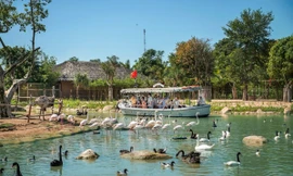 Tặng con mùa hè đáng nhớ – học điều hay từ thế giới diệu kỳ VinWonders Nam Hội An