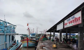 Cà Mau phấn đấu đến ngày 15/11 không còn tàu cá vi phạm mất kết nối VMS trên 6 giờ