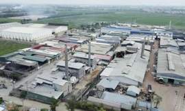 Giải pháp cải tạo, hồi phục những 'vùng đất chết'